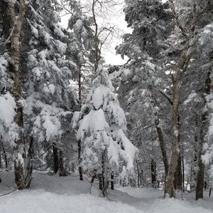 Meet your Posher, Sonia